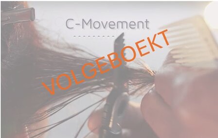 VOLGEGOEKT Basis AEROSTYLING level 1 zondag 2 juni